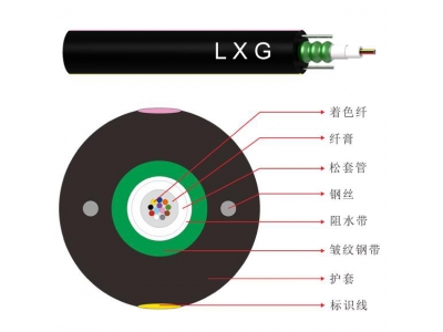 Central Tube Light Armored Optical Cable (GYXTW)